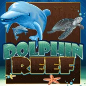 Dolphin Reef
